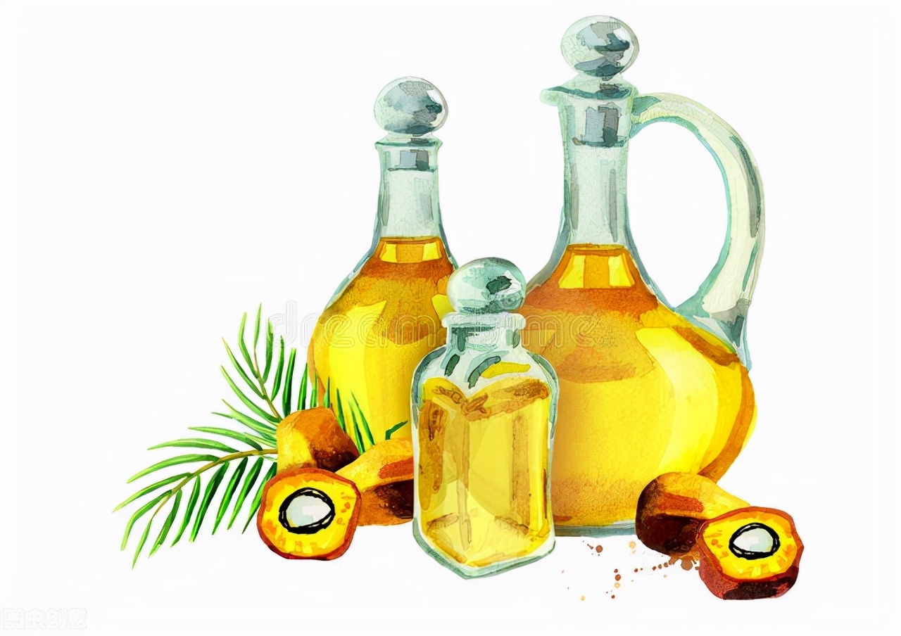 棕榈油促进肿瘤转移,棕榈油脂肪酸研究