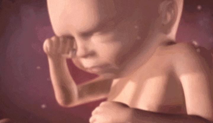 胎儿一般多大胎动比较明显,几个月胎儿可以明显看出胎动