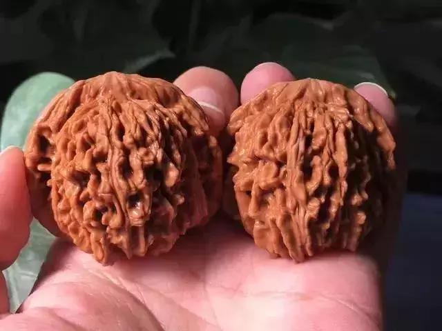 文玩核桃背后的猫腻,文玩核桃到底该怎么玩