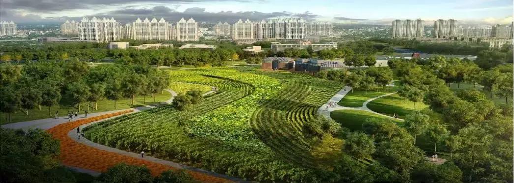 临沂周边田园综合体,临沂十大田园综合体