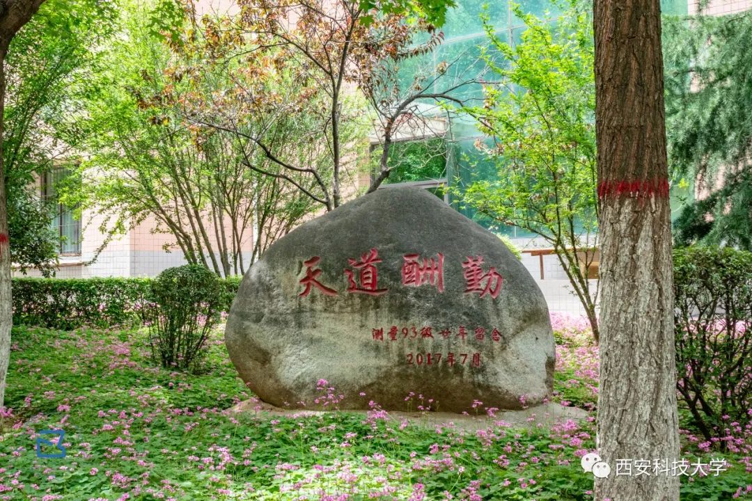 全省第一清华大学,全省理科第一名是谁