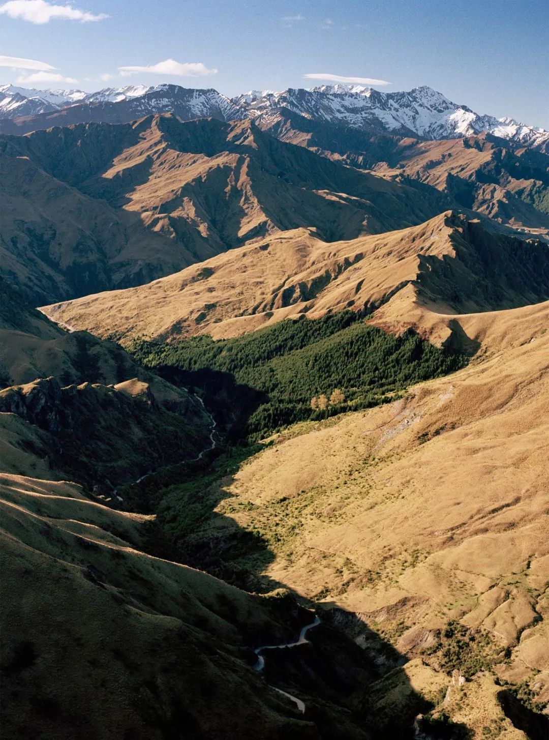 新西兰为什么那么发达,新西兰为什么这么牛