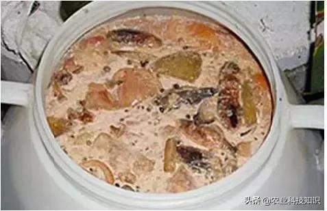 酵素制作,让厨余垃圾零废弃,秒变环保达人,内附制作方法