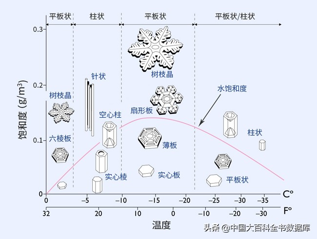 每一片飘落的雪花都是记忆,每一片飘落的雪花都是独一无二的