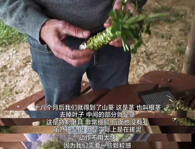 菜吧:800元一斤!据说这种菜是全世界最难种的