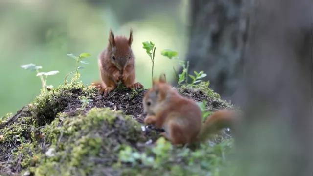 葬礼当天，她成为了四个孩子的“后妈”，网友：这是童话故事吧