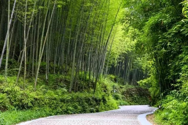 森呼吸运动乐园乘车路线,森呼吸好玩吗