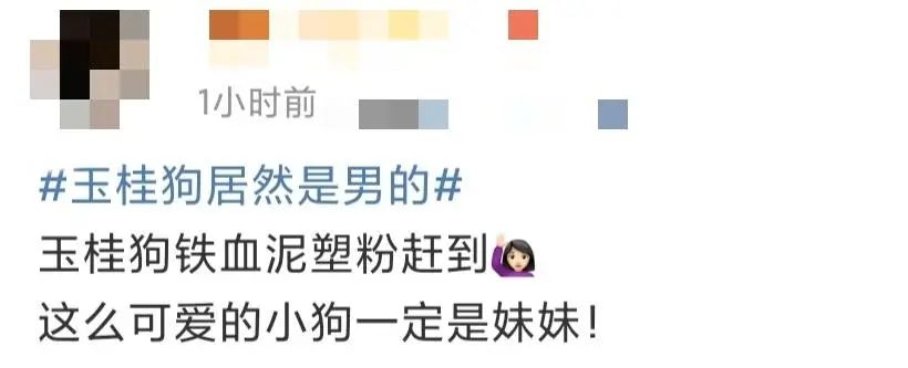 玉桂狗是不是反派,玉桂狗反派角色