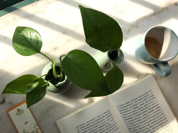 如何转行？厂妹逆袭成高薪设计师