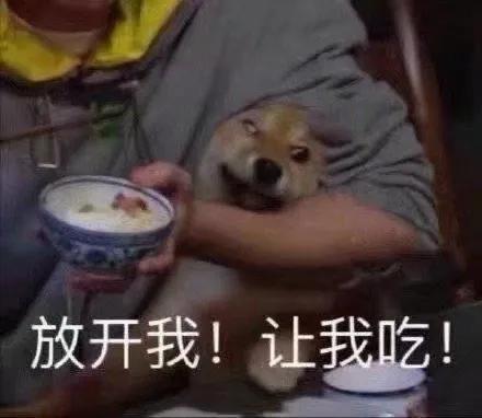 沙雕表情包动态,沙雕表情包熊猫头素材