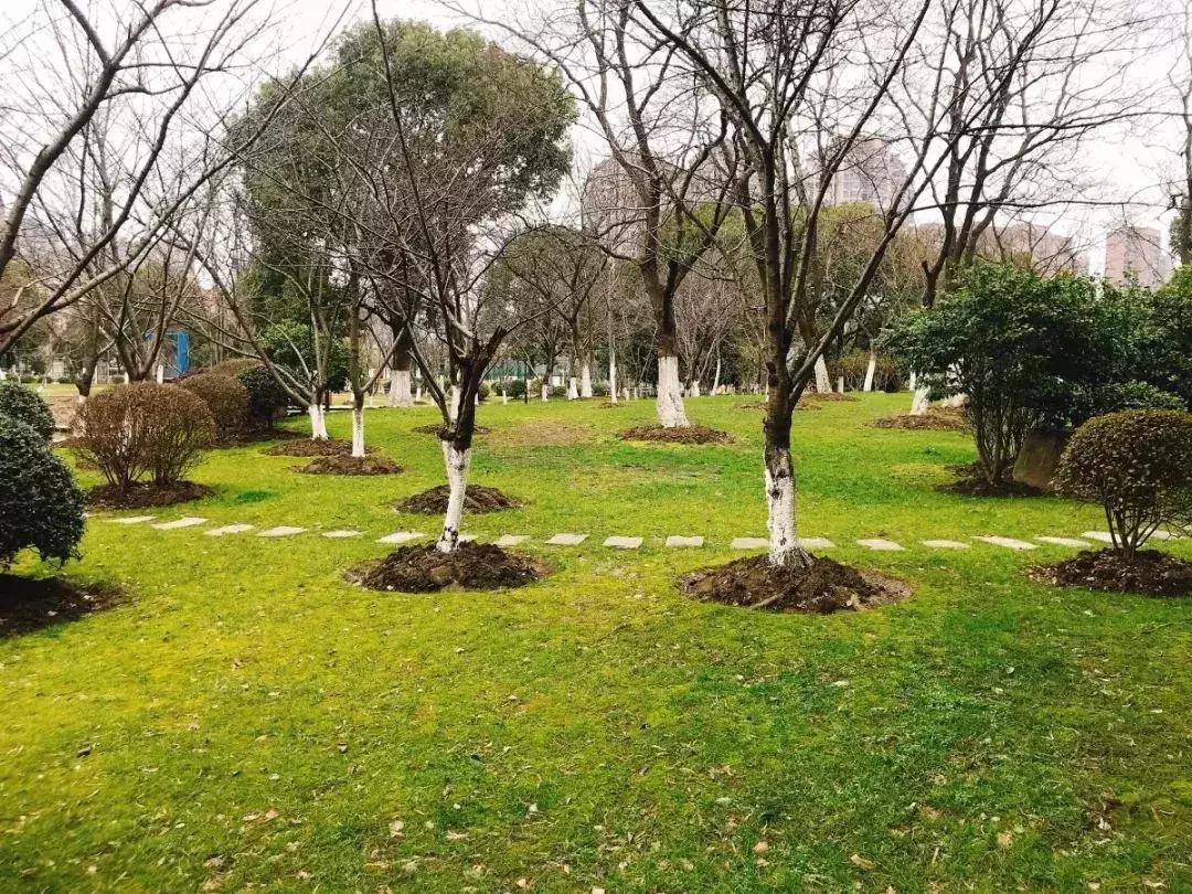 无锡遛娃户外免费,无锡惠山区遛娃好去处