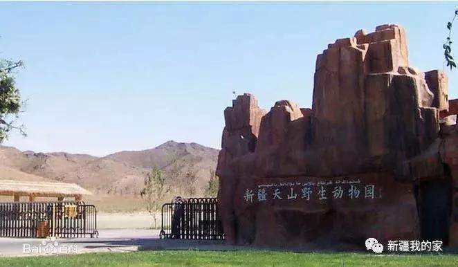 南公园，一代乌鲁木齐人的青春与回忆！