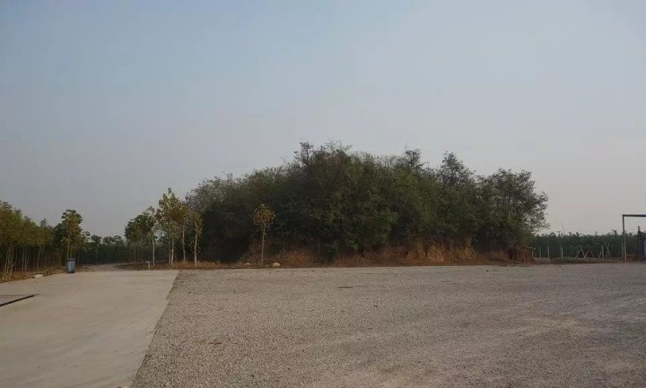 不受嗟来之食上一句是什么,不接受嗟来之食