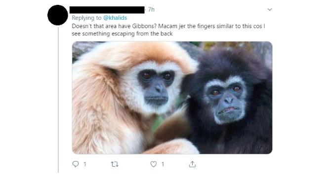 诡异！大马汽车坠落深坑，被拖出时惊现一只“鬼手”，网友吓惨