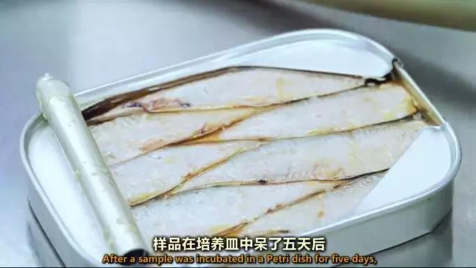 上海|想花1折的钱，买到进口的精致生活？跟着上海阿姨走就对了