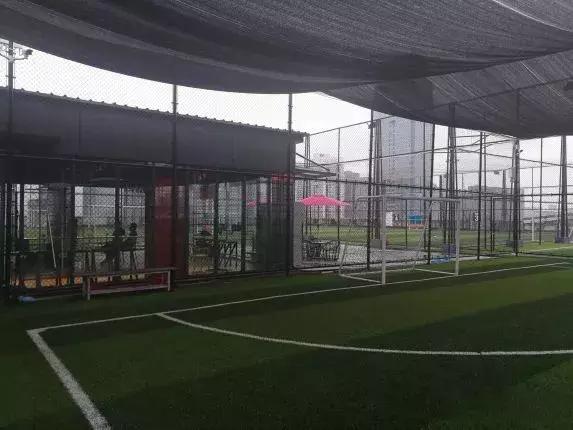 微信运动每天399步,微信运动一天10步是怎么做到的