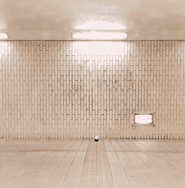 丧心病狂！一穿就摸清你的尺寸，日本人连做秋裤都特别污