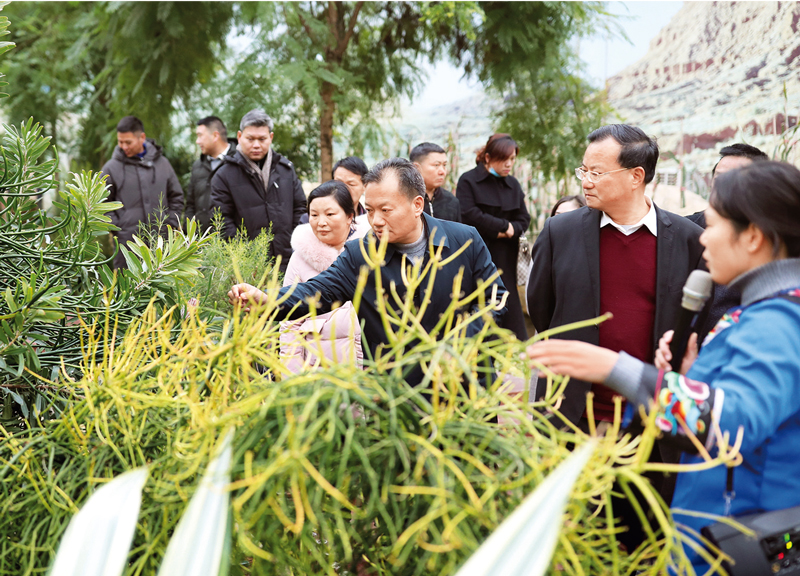 人民政协具有政治协商的功能,人民政协的协商职能是什么