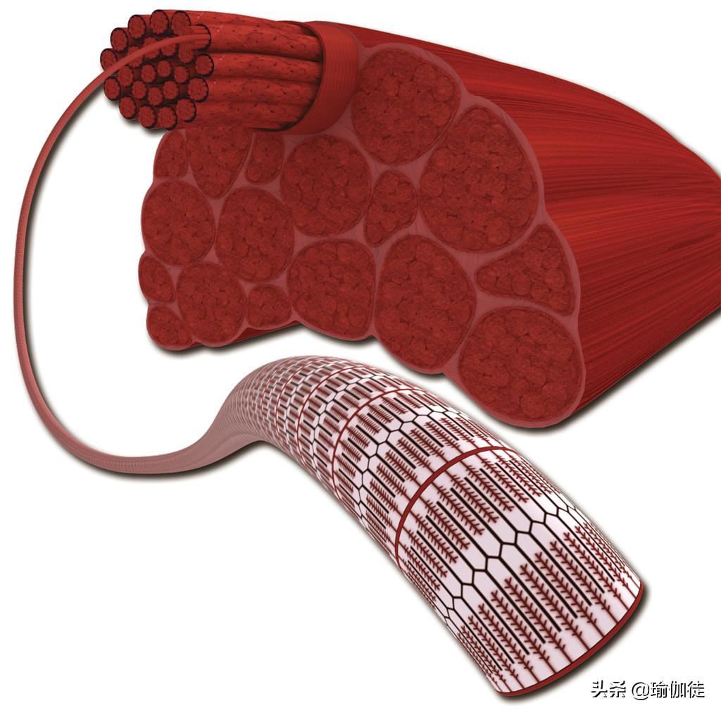 劈叉时劈不下去怎么办,成年人怎么练习劈叉不受伤