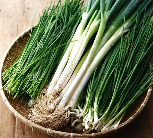 孩子耳朵进了蚊虫怎办,蚊虫进入耳朵的正确处理方法