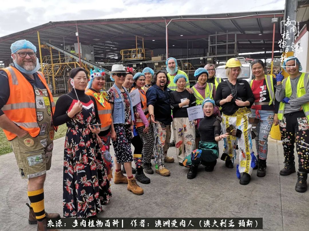 采蘑菇的小姑娘，“转行”来把多肉养