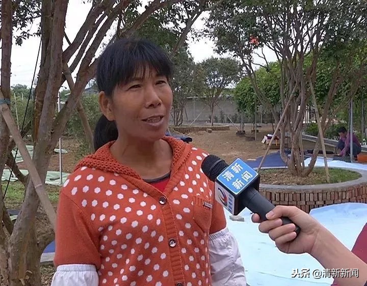 神奇!太平金门有种长在树干上的果子!