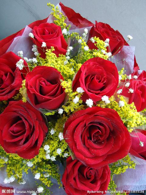 张爱玲红玫瑰与白玫瑰经典散文,散文红玫瑰