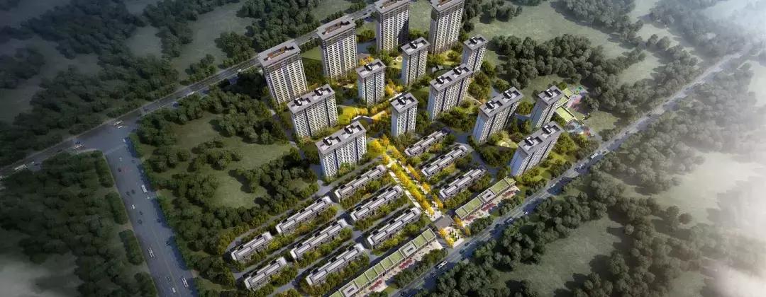 董事长被刑拘的新城控股，在青岛竟布局了14个项目