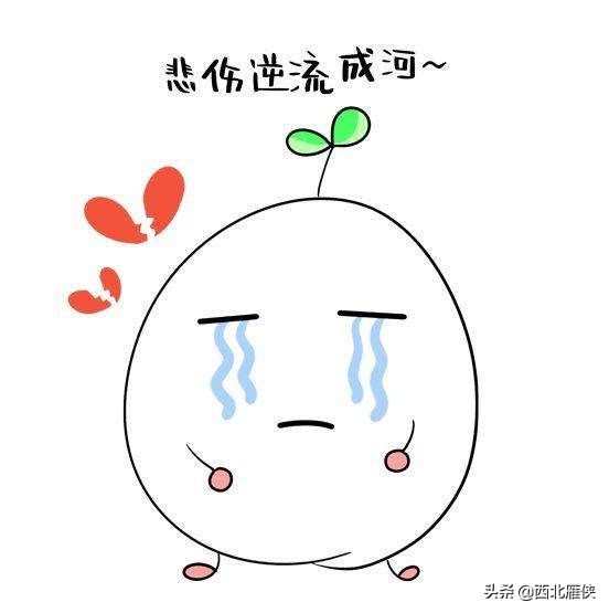 中国移动员工自曝工资待遇,中国移动曾经有多赚钱