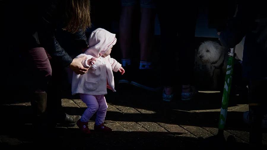 盘点怕狗人士遇到狗会有什么反应,怕狗人士遇狗正确方法