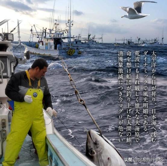 去日本才能吃过瘾的岛国本土食材,至少有8种便宜了游客