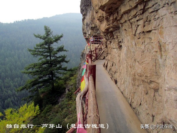 宁武芦芽山悬崖栈道,太原出发芦芽山马仑草原自驾路线