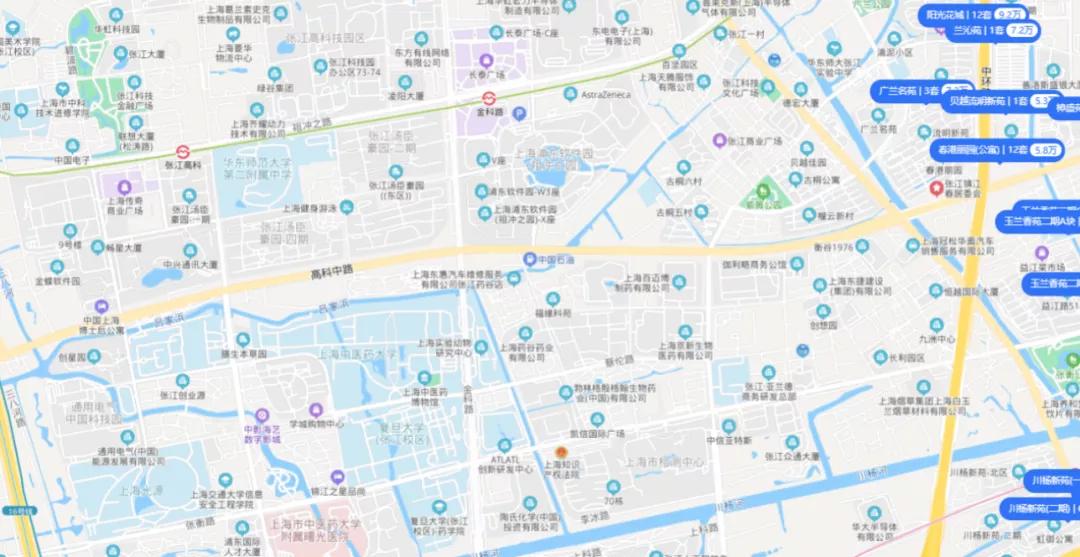 上海这个板块未来值得期待,上海的多肉品种