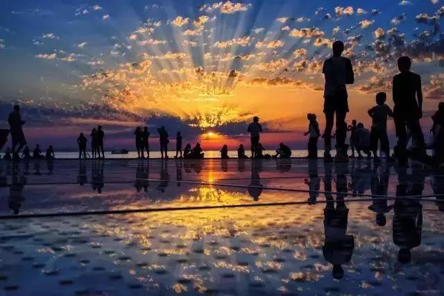 2019年国际宠物展,意大利博洛尼亚国际宠物用品展