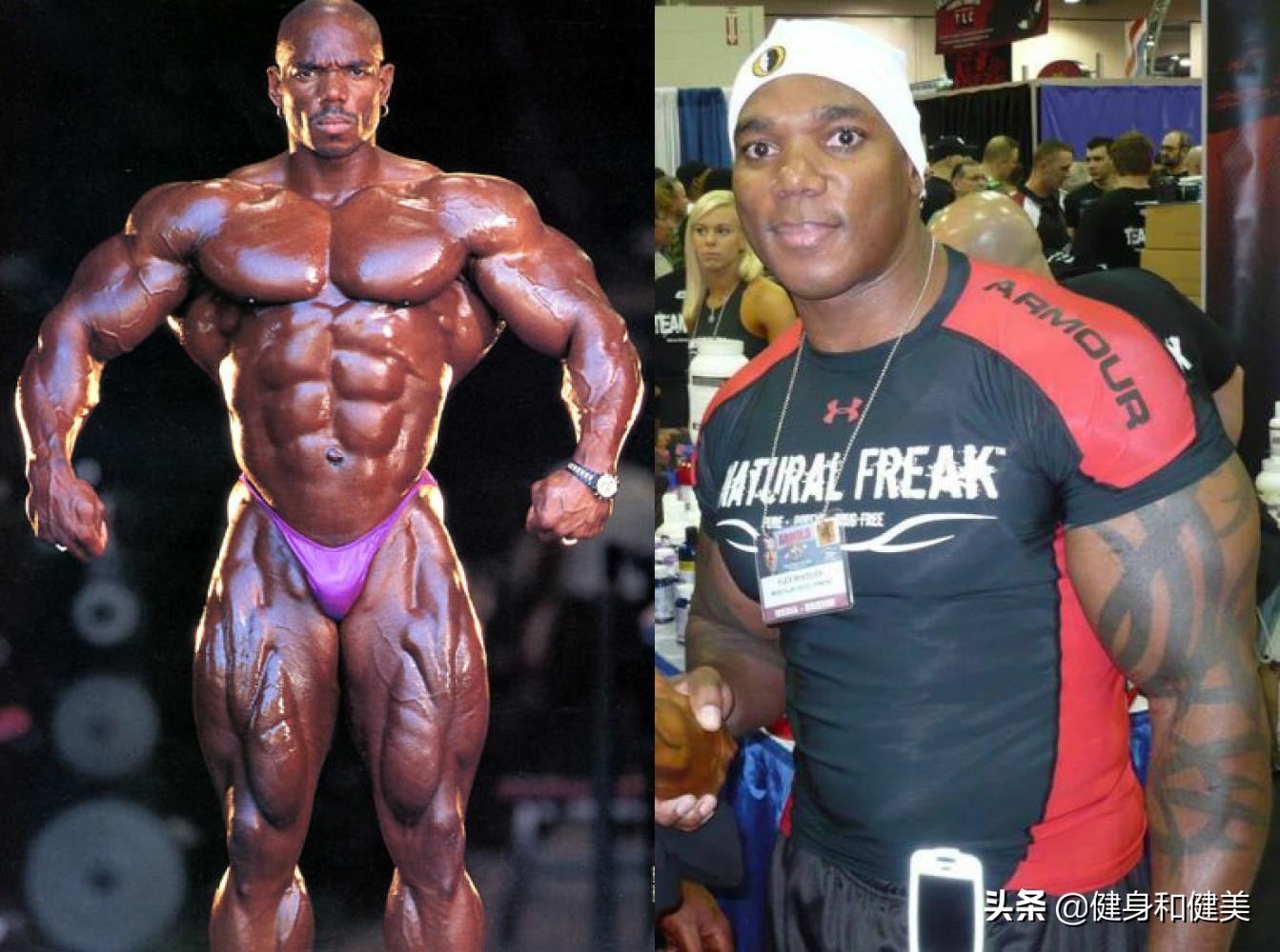 ifbb职业奥运选手,ifbb职业健美运动员