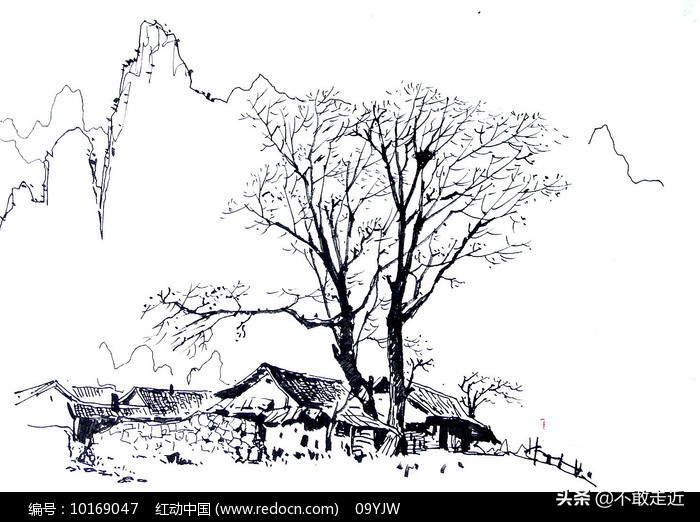 故乡与童年（10）番石榴飘香