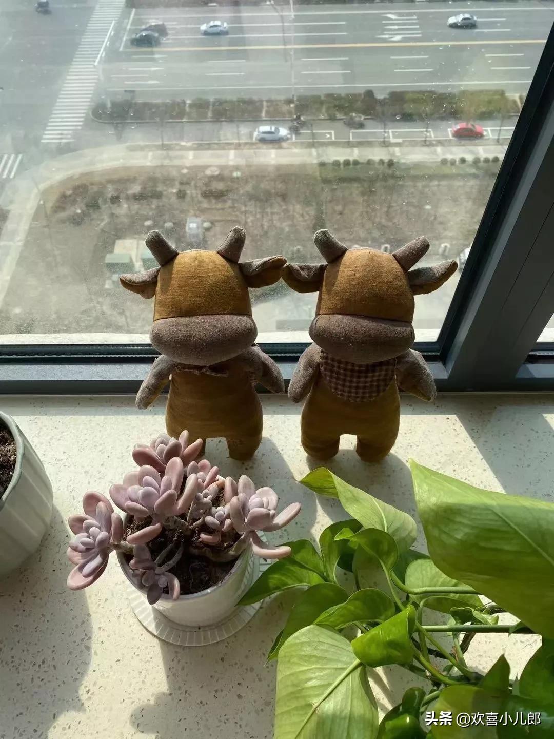 家里有人梦游怎么解决,孩子梦游怎么处理