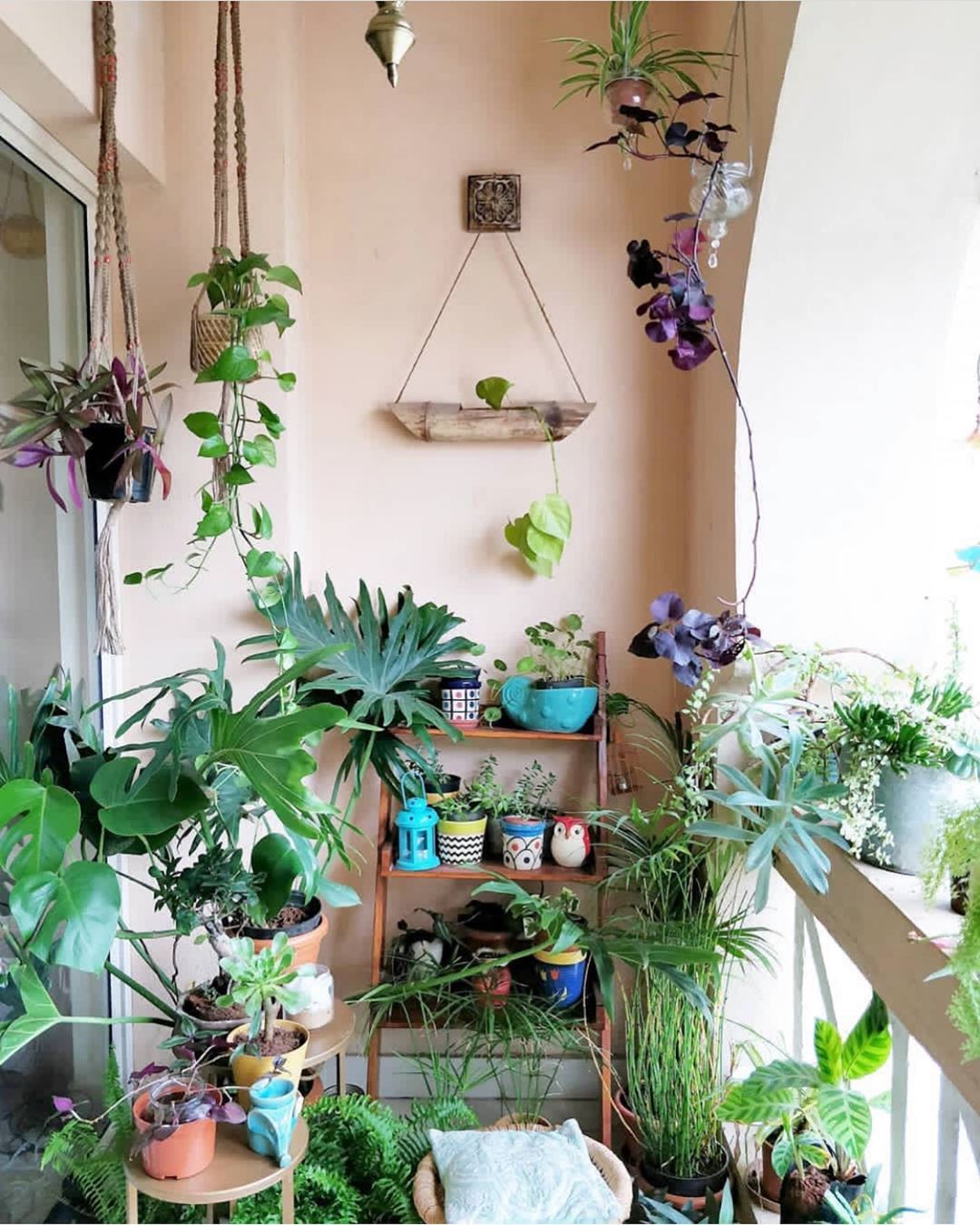 极度治愈的风景,不封阳台的浪漫