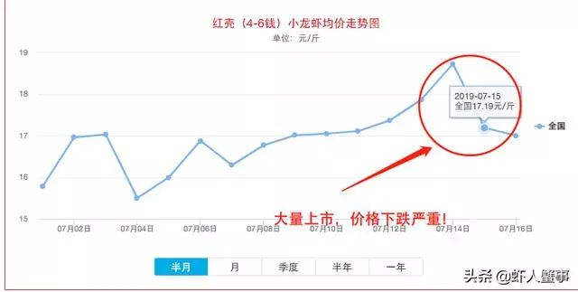 小龙虾养殖户致富有出路,每亩多赚8000元!新模式颠覆传统养殖