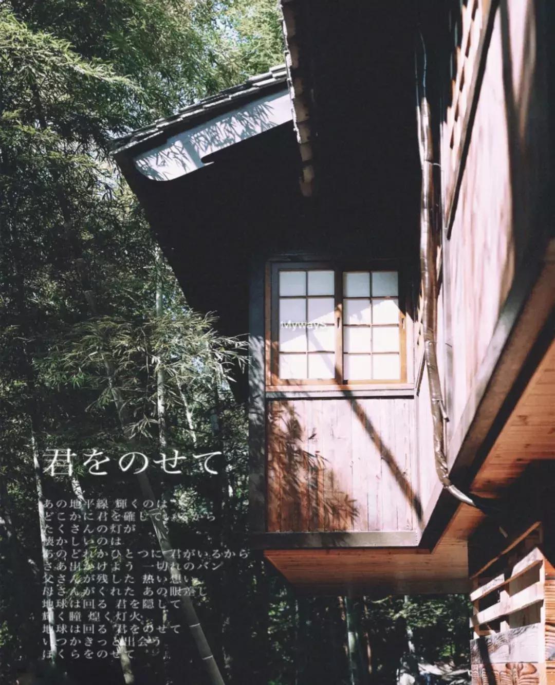 楠溪江的水有多美 (浙江楠溪江风景区怎么样)