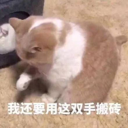 大哥有个大胆的想法表情包,大胆说出你的想法表情包