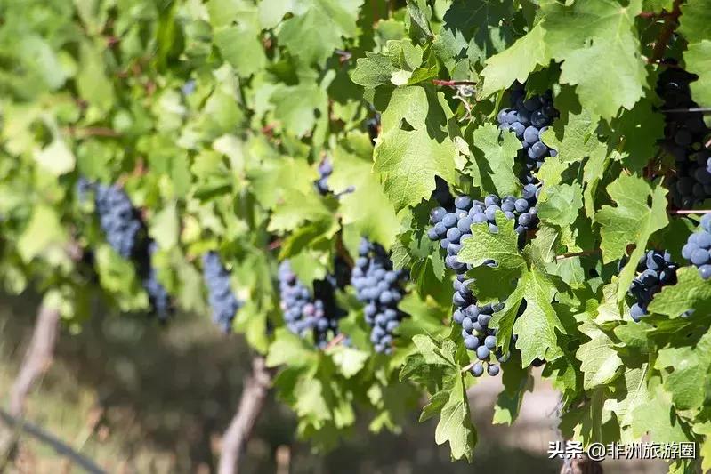 非洲最美自驾线路一生必去一次