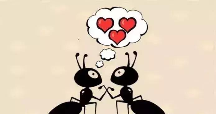 5个看图猜成语答对3题你就是王者,看图猜成语共6题答对4题及格