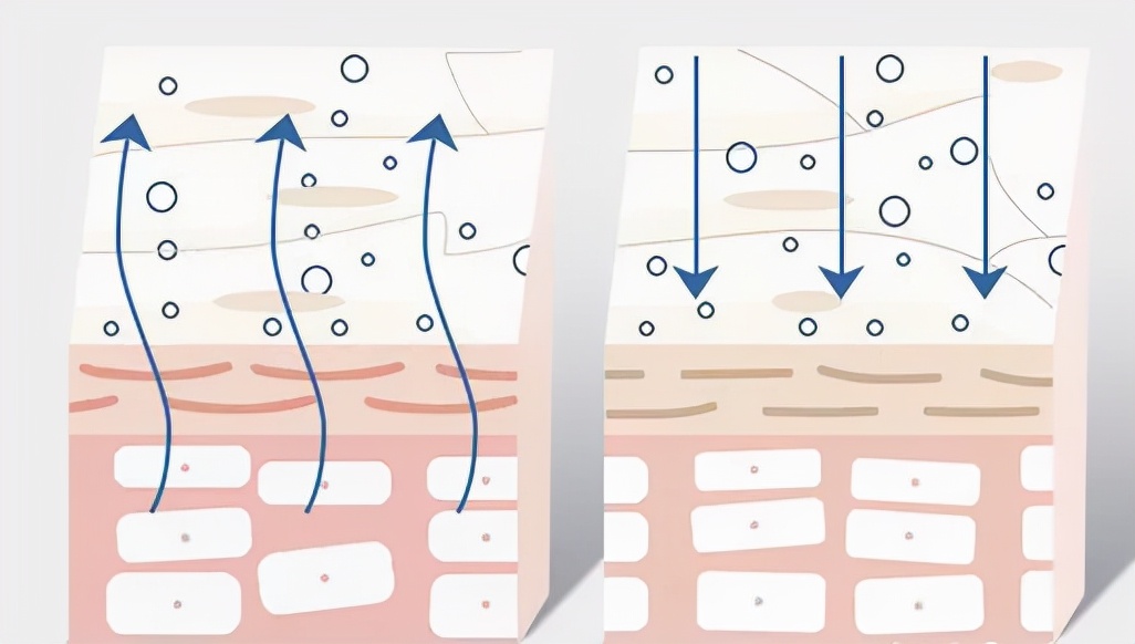 干燥皮肤瘙痒用什么药有效,皮肤皲裂干燥还伴有痒怎么办