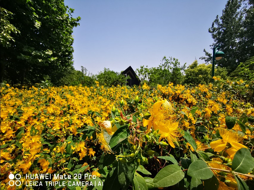 大美滨湖全景图,合肥滨湖塘西河公园美景