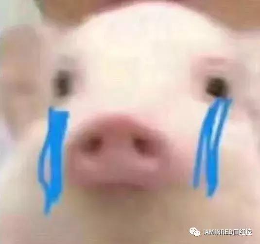 十大最好用的眼影,这一年值得入手的眼影有哪些