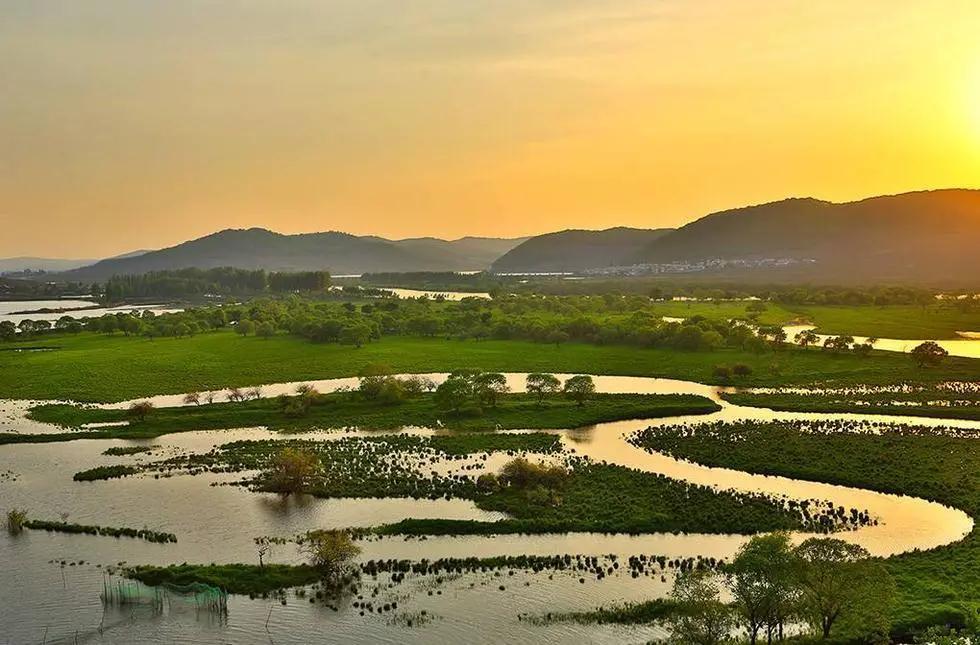 林业生态旅游科普,林草科普