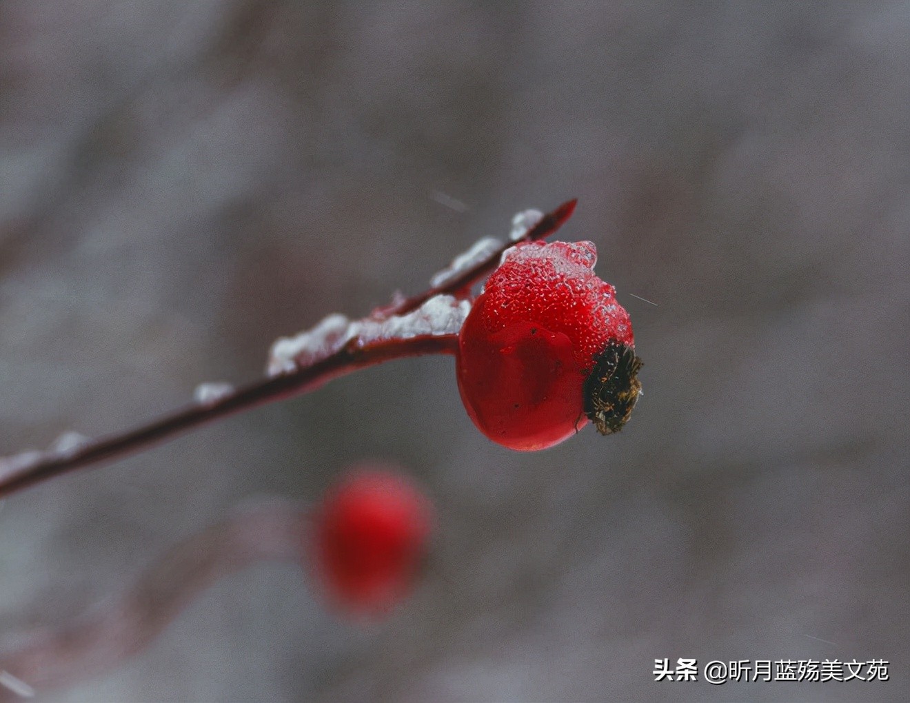 浅冬的阳光很是温暖,浅冬心中有暖时光安好
