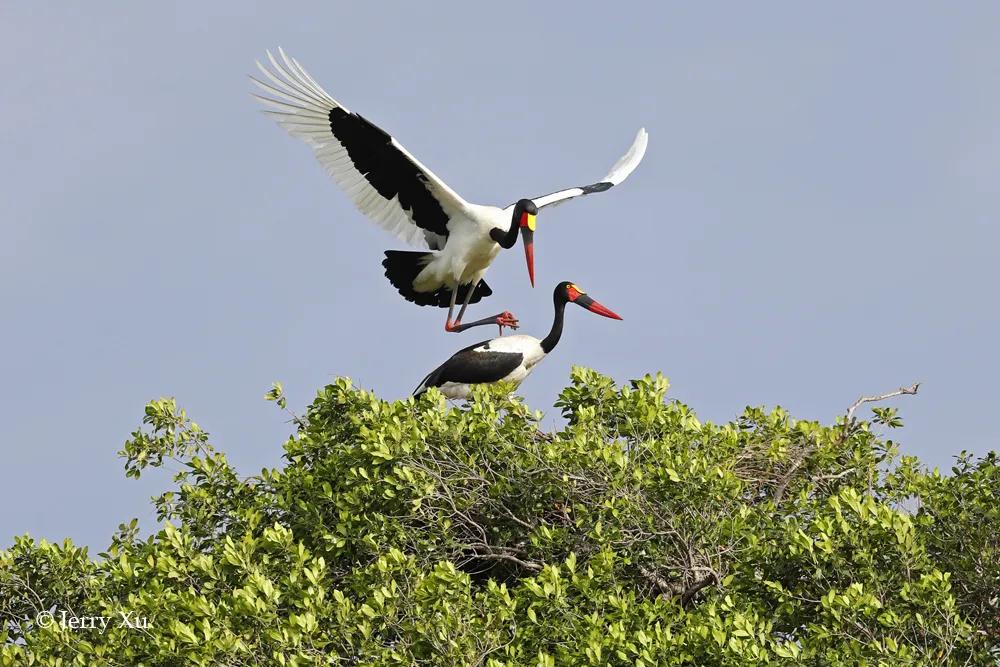情人节,就该和爱的人*爱做**做的事