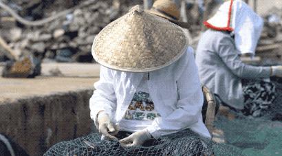 石浦渔港海鲜,石浦渔港码头海鲜